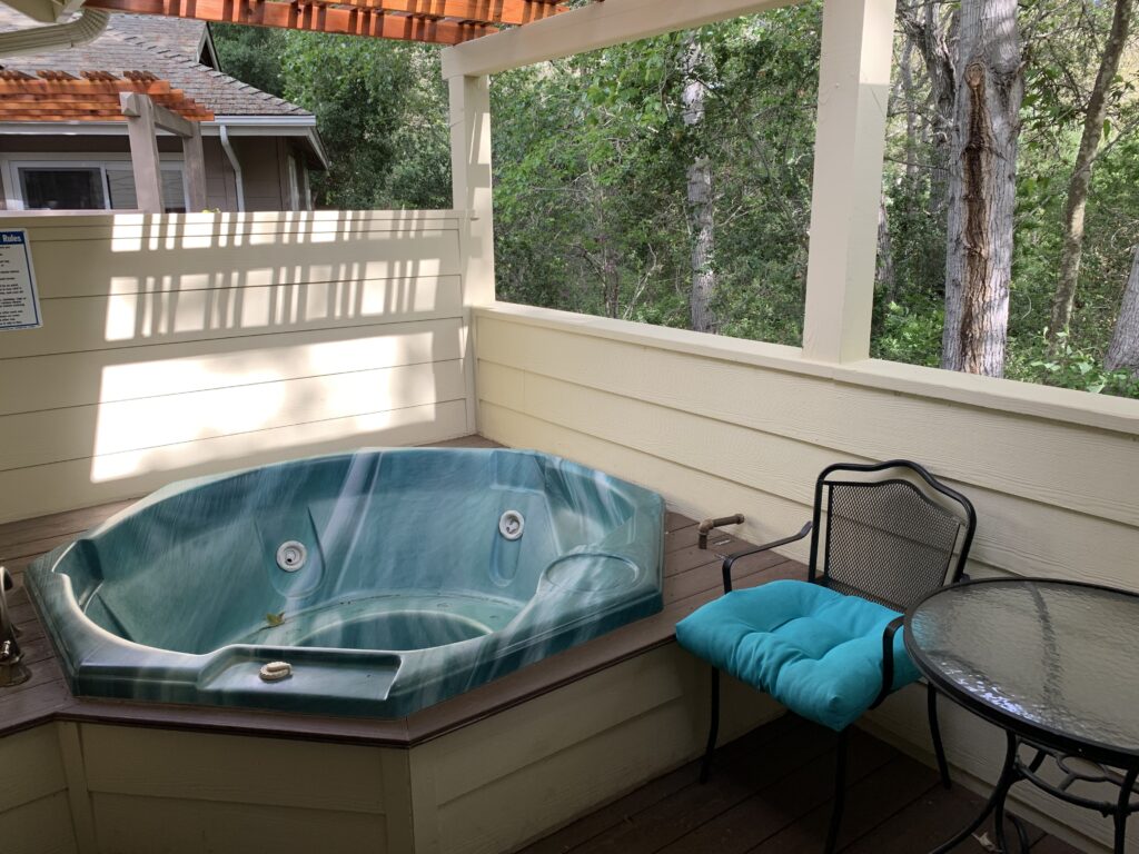 hot-tub-guestroom-king-suite-1024x768.jpg